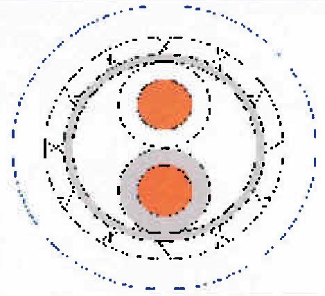 100 Ohm 24 AWG Twinaxial Cable
